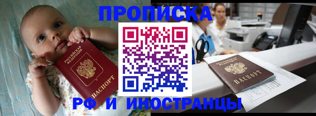 прописка поиск в Зее